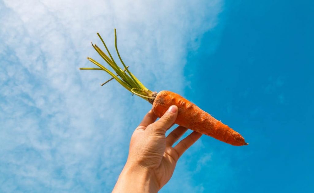 What is the nutritional value of carrots and why is it beneficial for health?