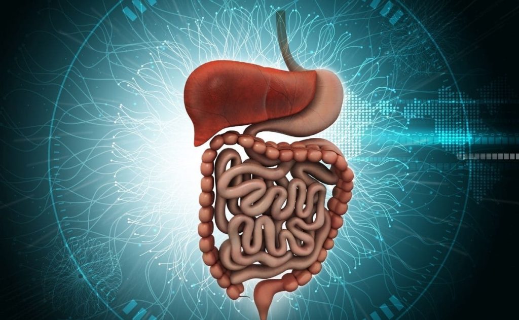 how-does-this-frequent-consumption-of-paracetamol-affect-the-digestive