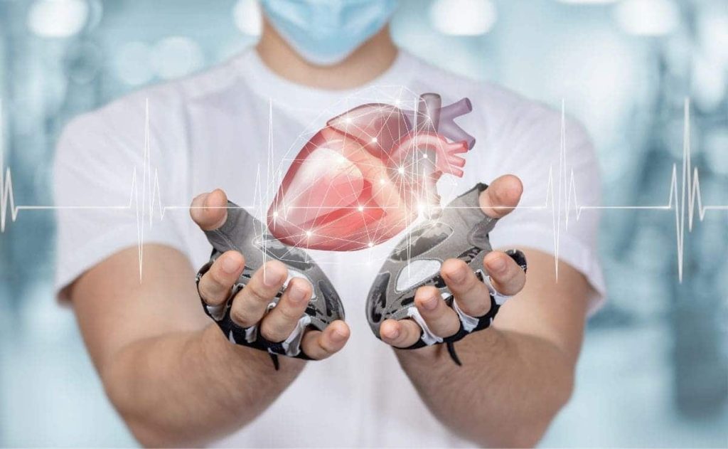 What was the heart about athlete?  How it influences cholesterol