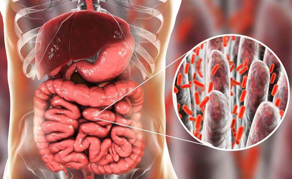 5 tips you should know to improve intestinal digestion