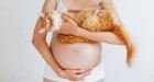 toxoplasmose-christmas-pregnancy:-cliffs,-treatment-and-how-to-prevent