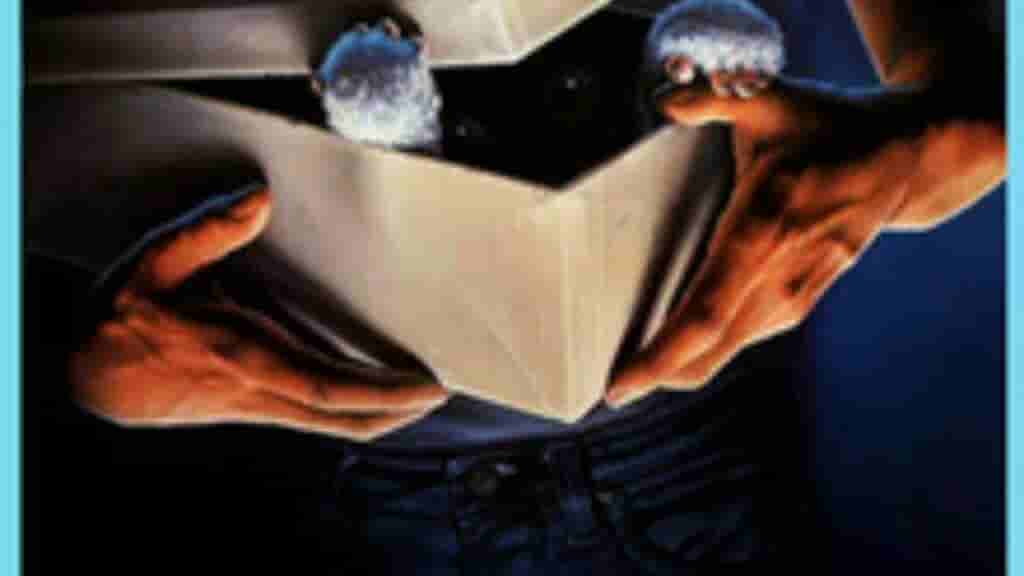 WANT TO WATCH GREMLINS NETFLIX STREAMING?