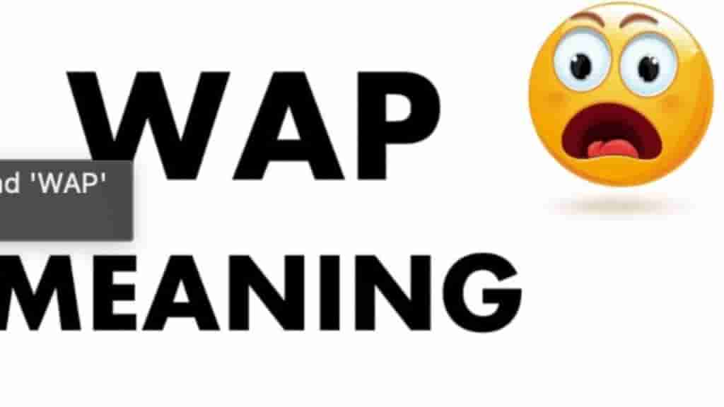 What is wap meaning in social media? And from where does it come?
