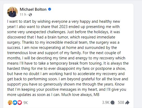 Michael Bolton Health