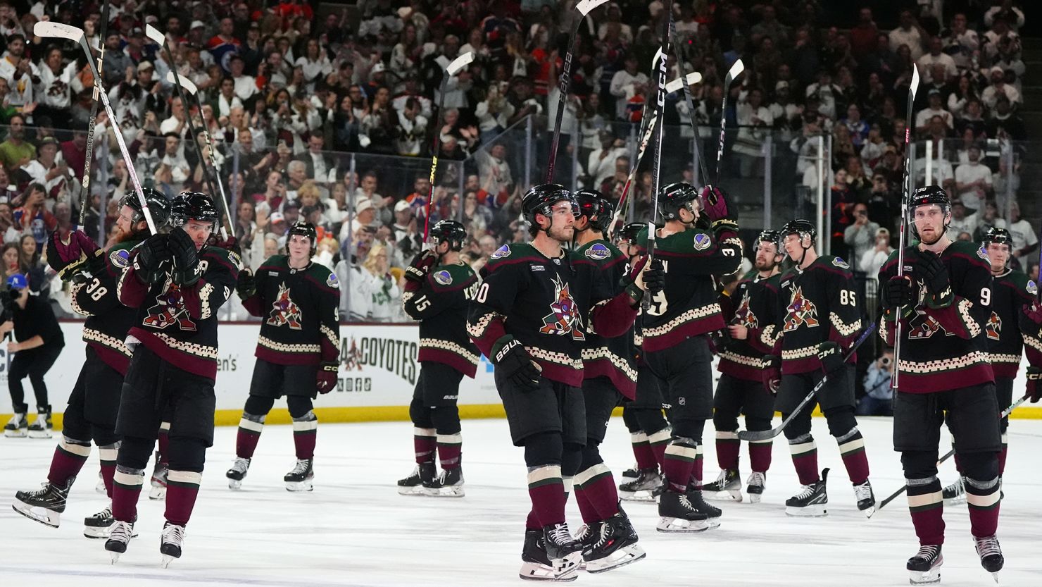 Arizona Coyotes